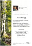 eine Anzeige